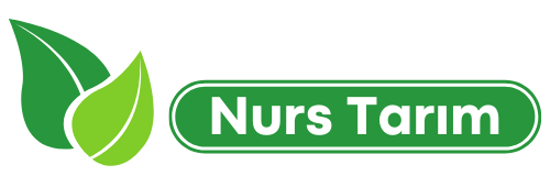 Nurs Tarım | Toptan Karpuz,Kavun ve Narenciye